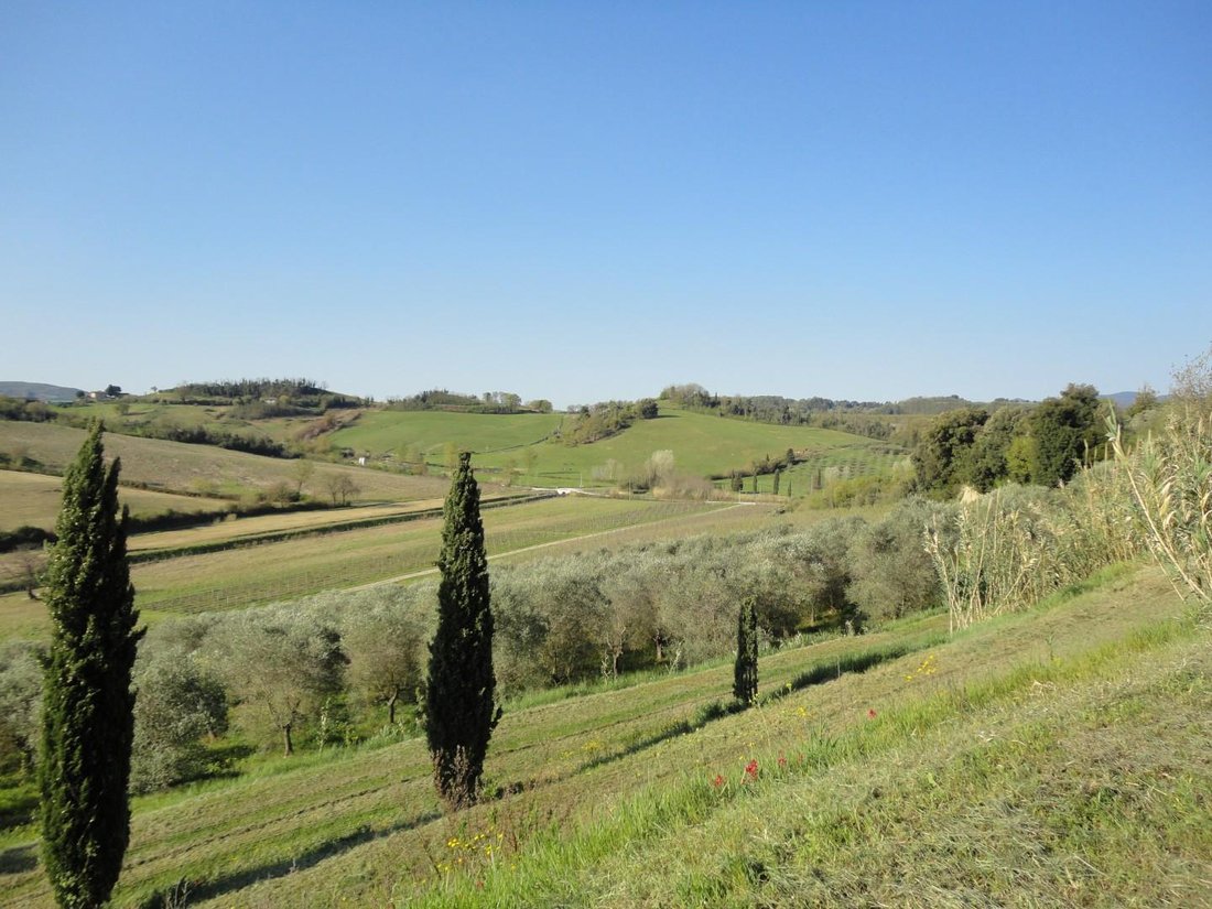 Country House in Casciana Terme Lari, Tuscany, Italy 5 - 15738651