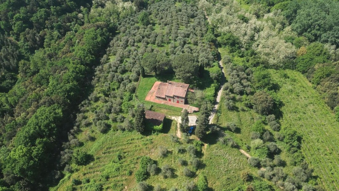 Center, Vinci, Tuscany 5 - 15738632