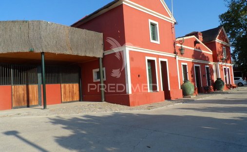 Haus in Assuncao, Ajuda, Salvador e Santo Ildefonso, Portalegre, Portugal 1