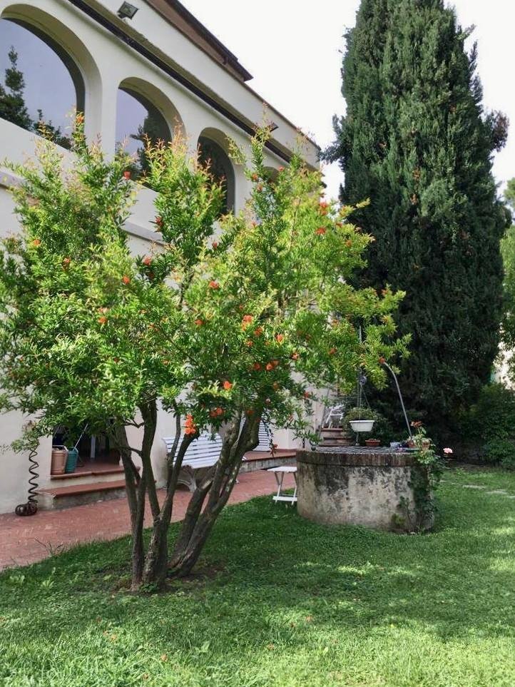 Villa in Calci, Tuscany, Italy 2 - 15738642