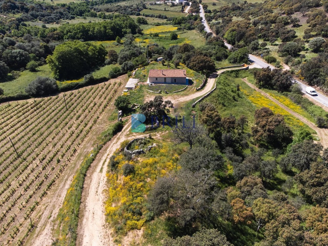 Farm Ranch in Sant'Antonio di Gallura, Sardinia, Italy 5 - 15737773