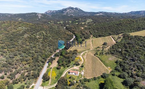 Farm Ranch in Sant'Antonio di Gallura, Sardinia, Italy 1