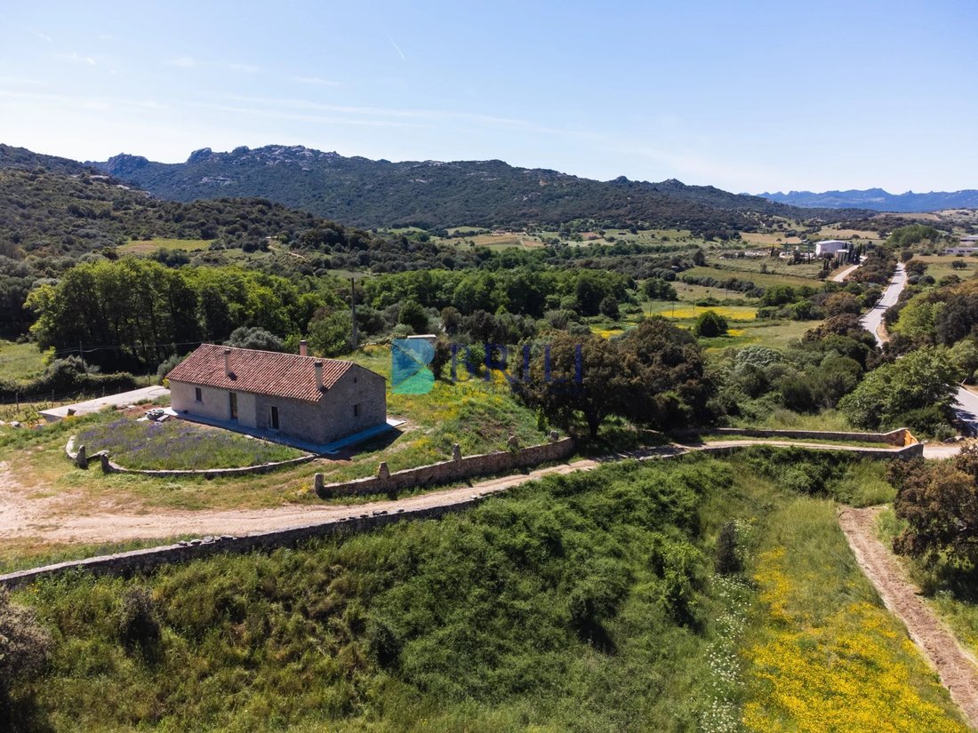 Farm Ranch in Sant'Antonio di Gallura, Sardinia, Italy 2 - 15737773