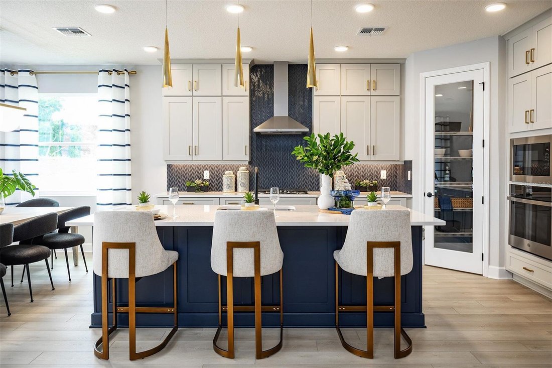 House in Apopka, Florida, United States 3 - 15739281