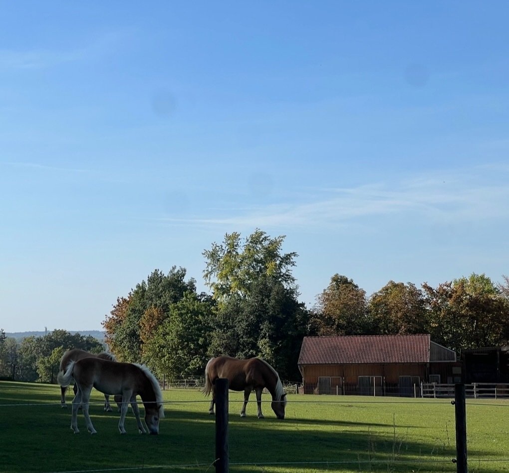 Farm Ranch in Pähl, Bavaria, Germany 2 - 15025786