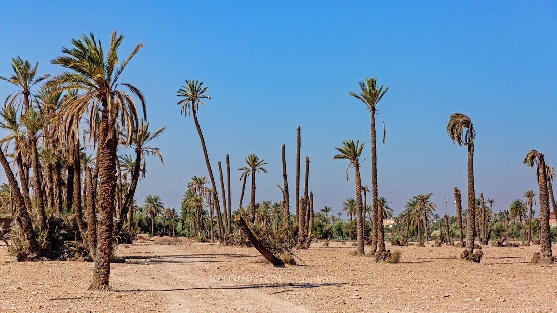 Land in Annakhil, Marrakesh-Safi, Morocco 4 - 15276701