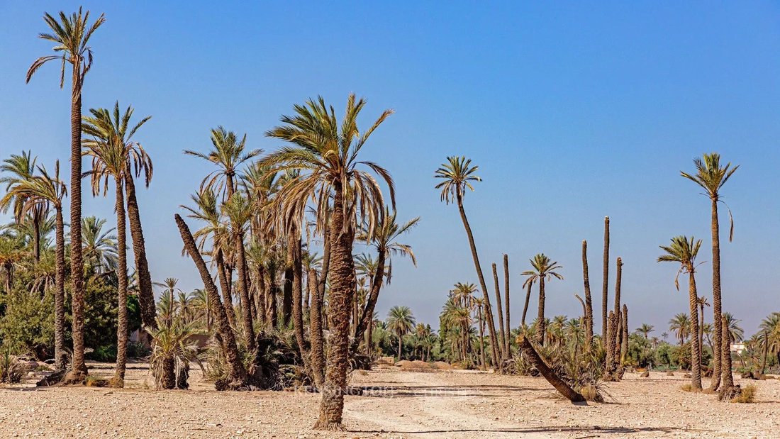 Land in Annakhil, Marrakesh-Safi, Morocco 1 - 15276701