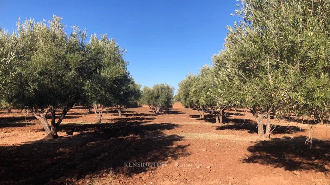 Land in Marrakesh, Marrakesh-Safi, Morocco 2 - 15276745