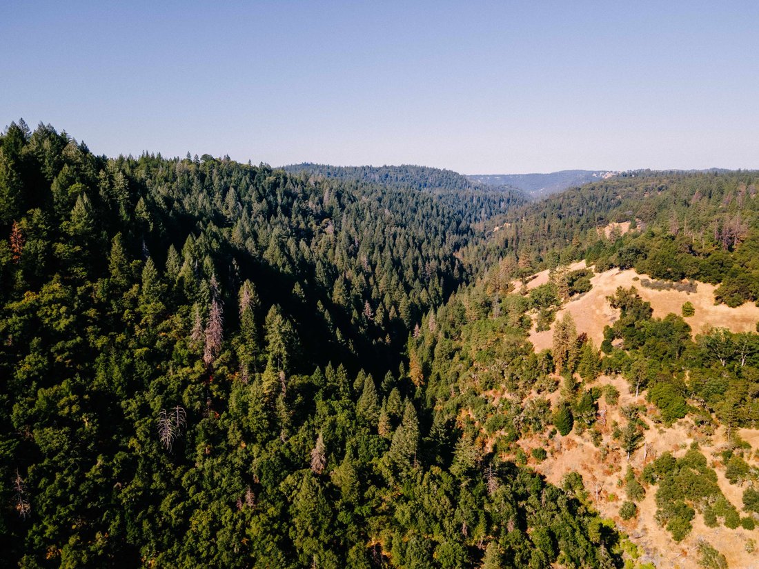 House in Wilseyville, California, United States 5 - 15175363