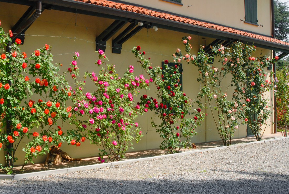 Villa in Carugo, Lombardy, Italy 4 - 15488343