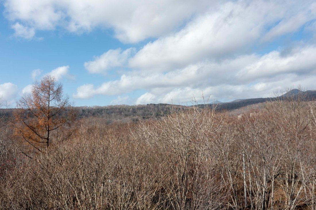 Land in Niseko, Hokkaido, Japan 5 - 15276600