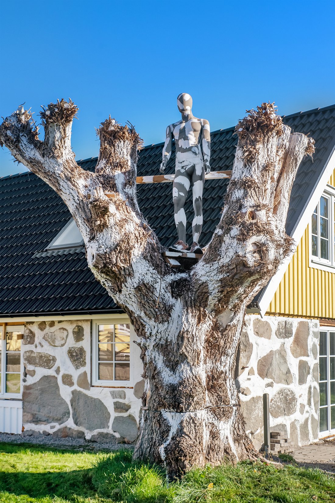 Estate in Olofström, Blekinge County, Sweden 2 - 13432847