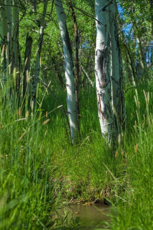 Land in Bozeman, Montana, United States 3 - 15657342
