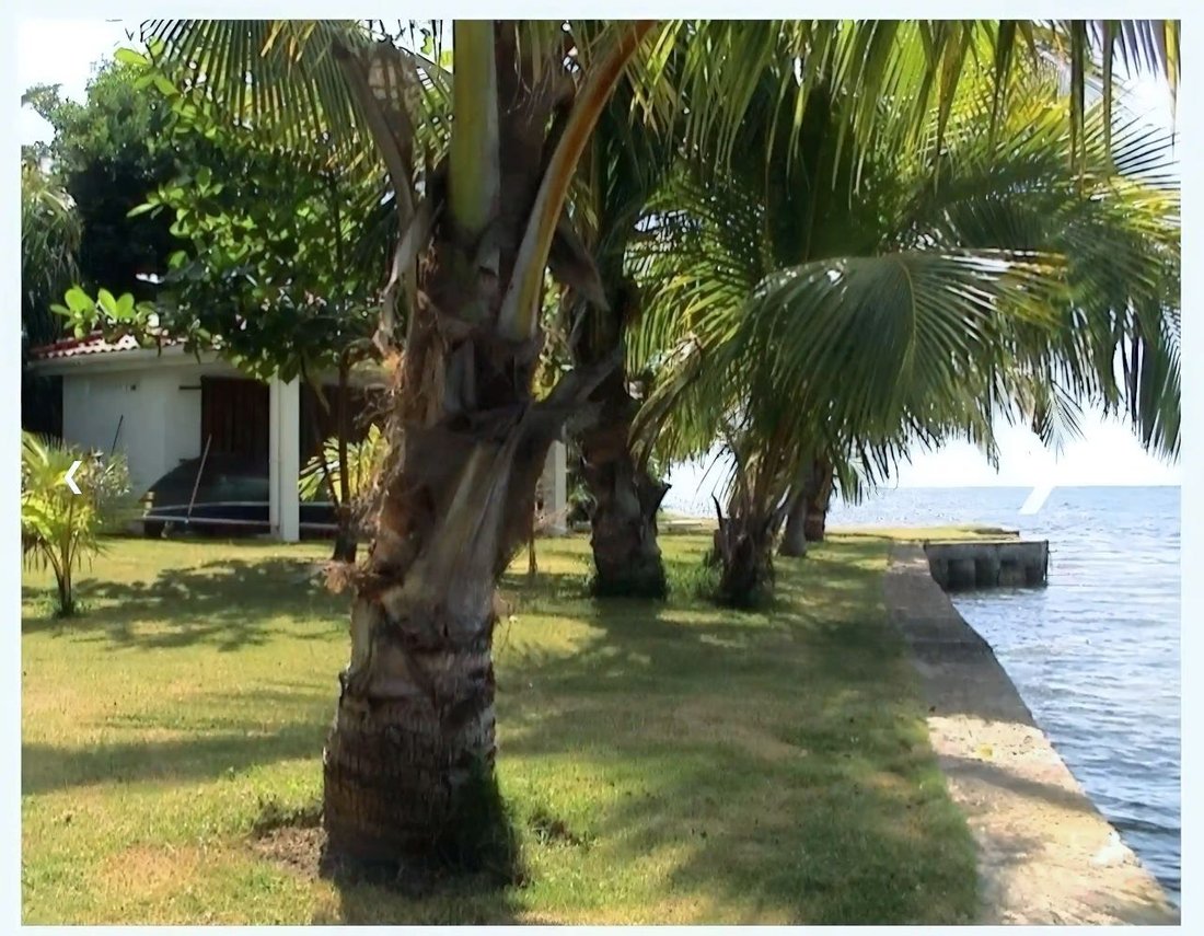 Estate in Saint David, Saint David, Grenada 5 - 13704569