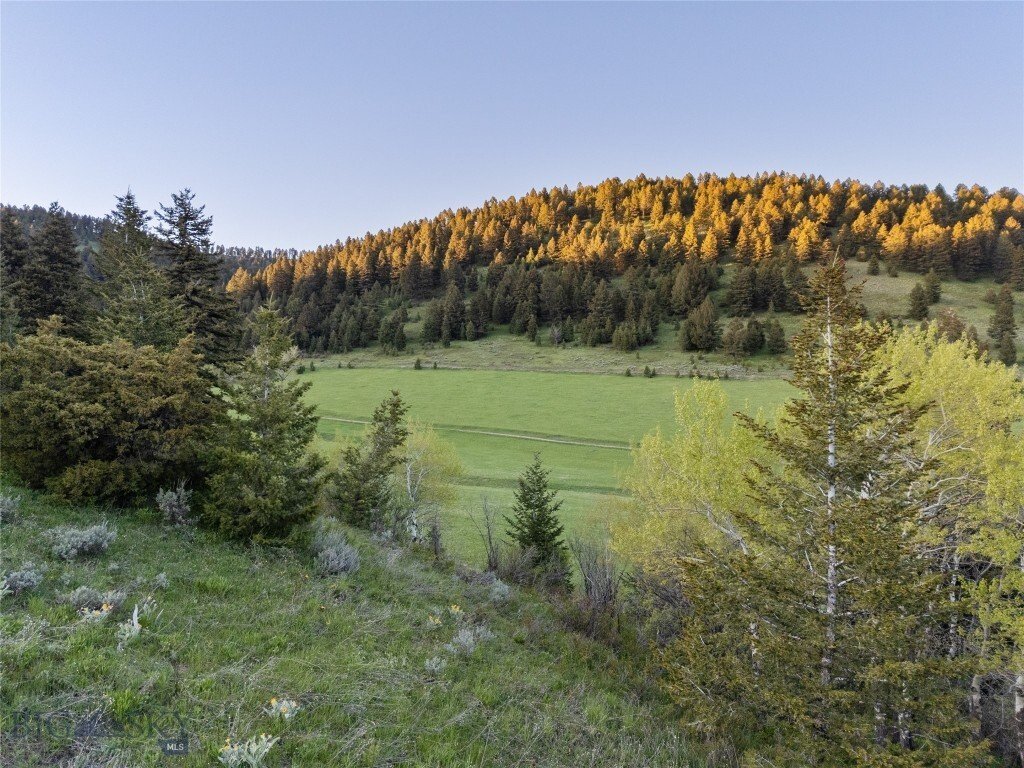 Land in Bozeman, Montana, United States 2 - 15683390