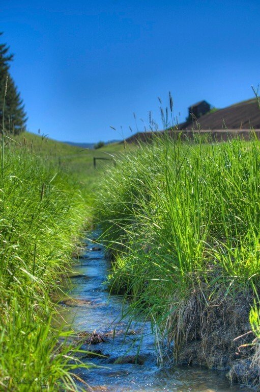 Land in Bozeman, Montana, United States 5 - 15657342