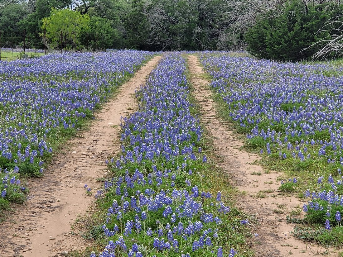 Land in Spicewood, Texas, United States 5 - 15167341