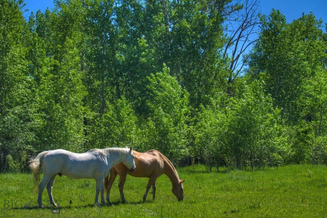 Land in Bozeman, Montana, United States 1 - 15657342