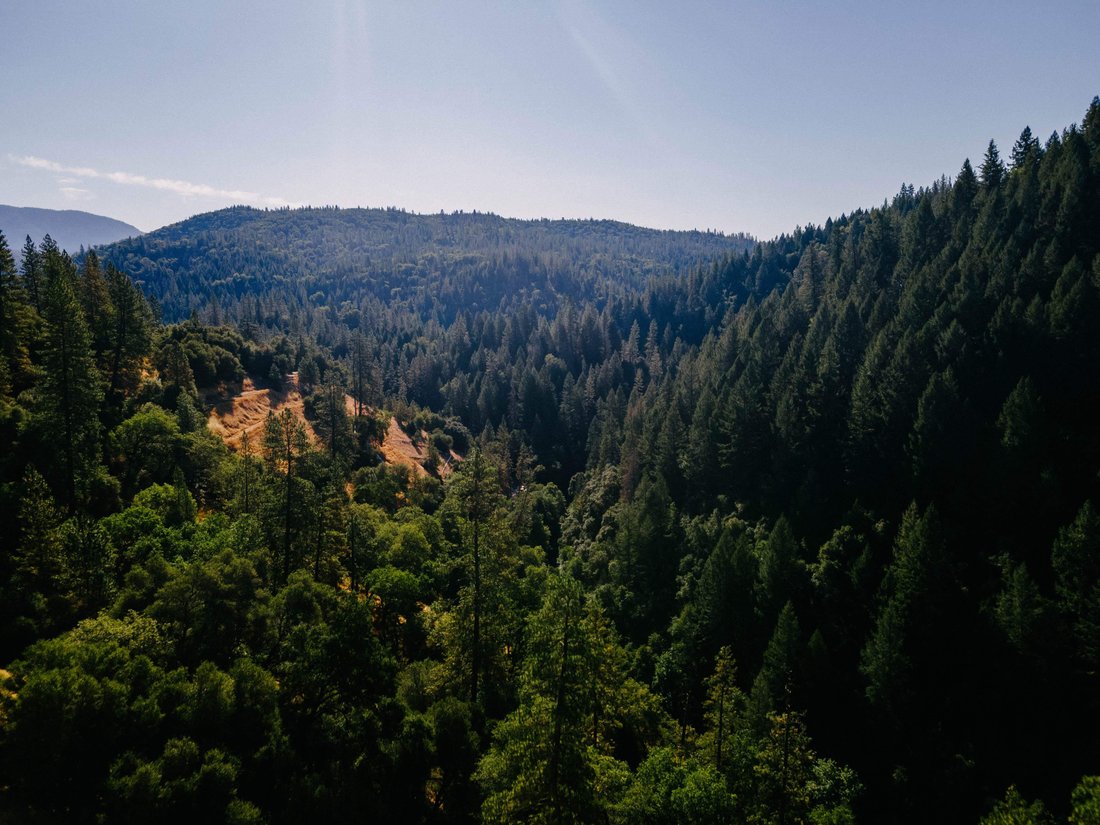 House in Wilseyville, California, United States 1 - 15175363