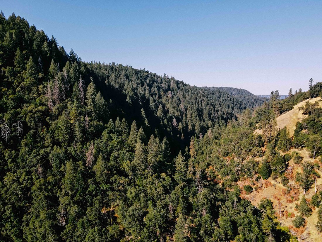 House in Wilseyville, California, United States 4 - 15175363