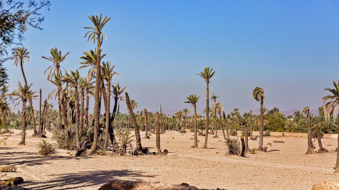 Land in Annakhil, Marrakesh-Safi, Morocco 5 - 15276701