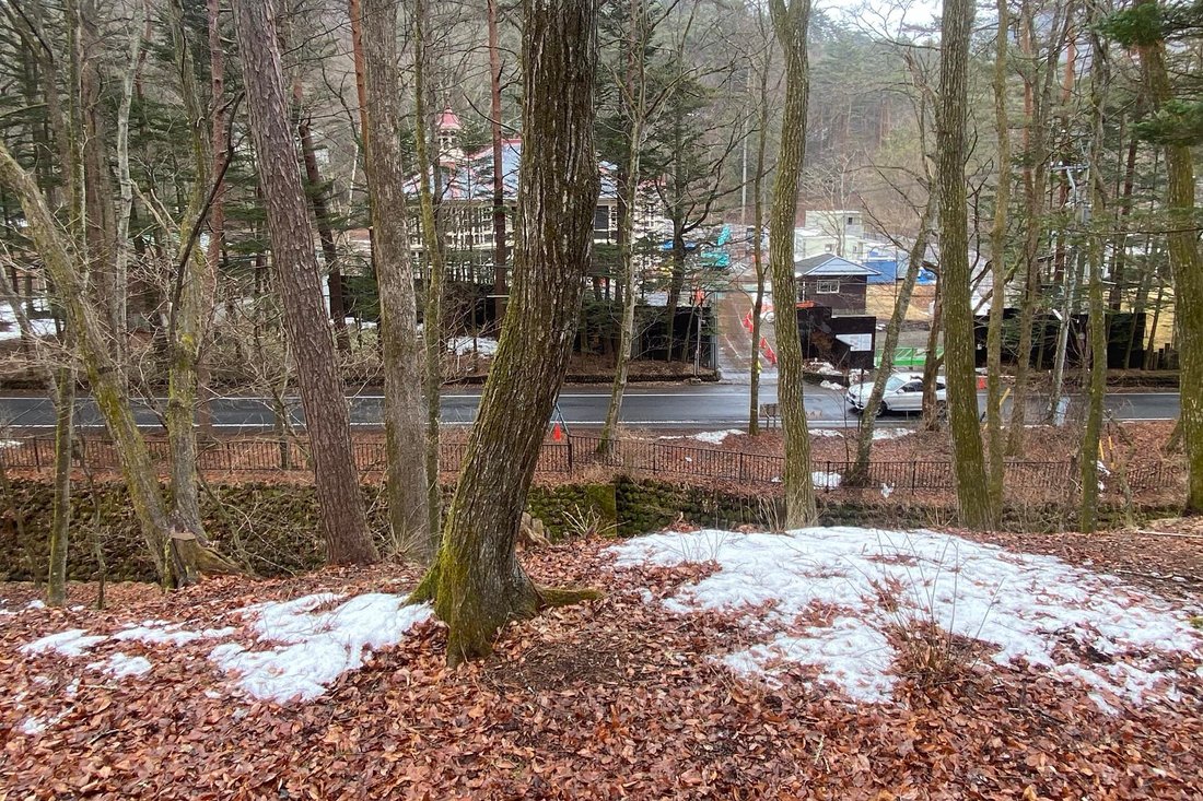 Land in Karuizawa, Nagano, Japan 3 - 15349022