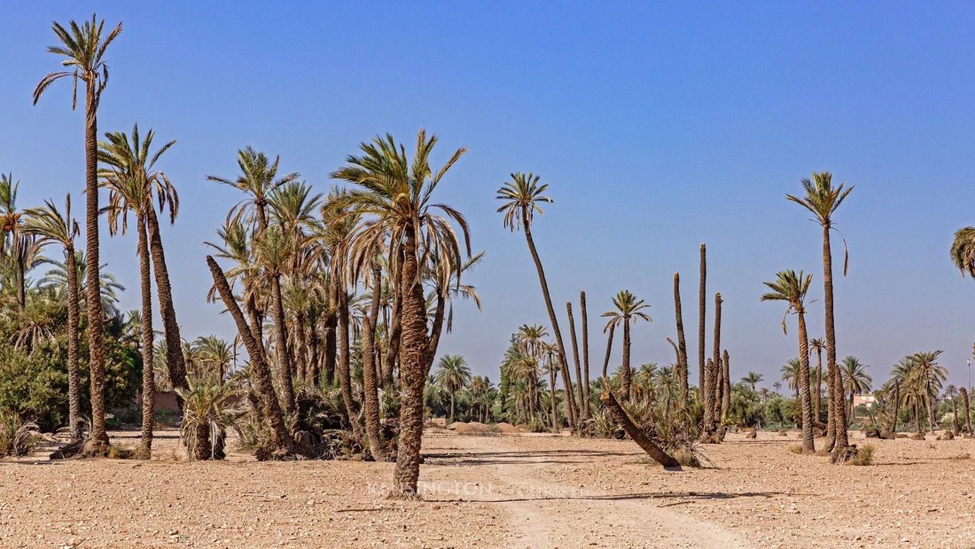Land in Annakhil, Marrakesh-Safi, Morocco 3 - 15276701