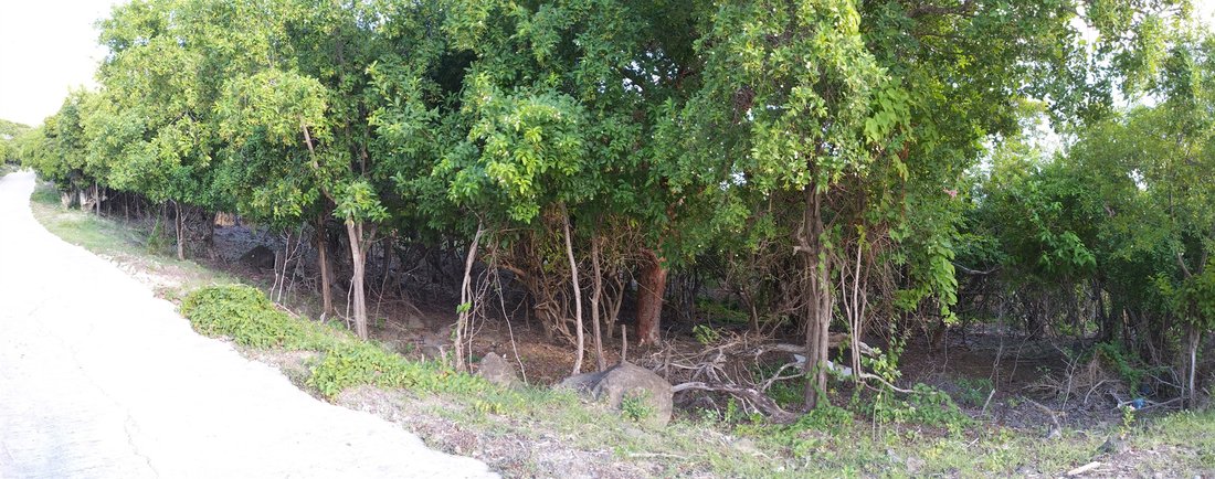 Land in Oranjestad, Sint Eustatius, Caribbean Netherlands 2 - 15276827