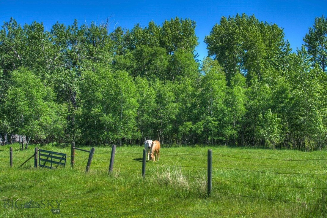 Land in Bozeman, Montana, United States 5 - 15657337