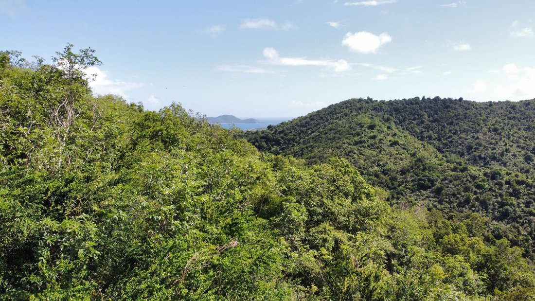 Land in East End, St. John, U.S. Virgin Islands 5 - 15169404