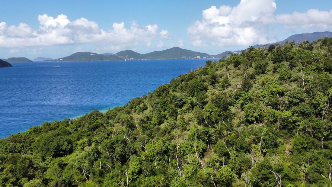Land in East End, St. John, U.S. Virgin Islands 2 - 15276604