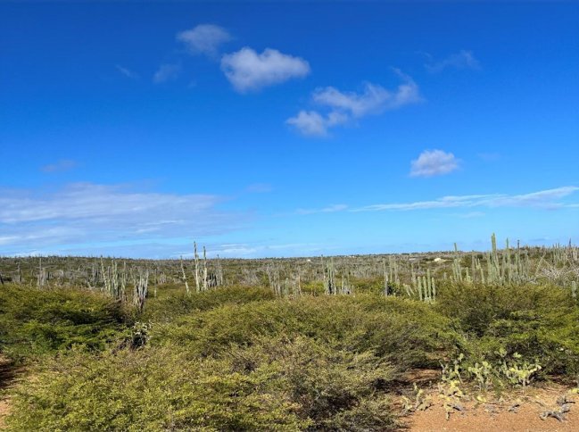 Land in Bonaire, Bosnia and Herzegovina 1 - 15385004