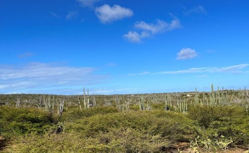 Land in Bonaire, Bosnia and Herzegovina 1