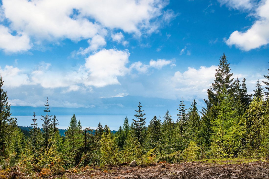 Land in Lakeside, Montana, United States 5 - 15713244