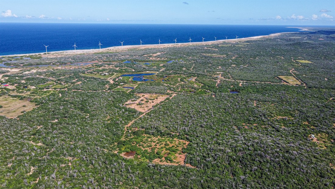 Land in Bonaire, Netherlands 1 - 13513391