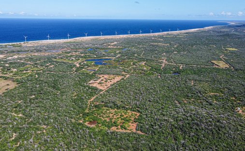 Land in Niederlande 1