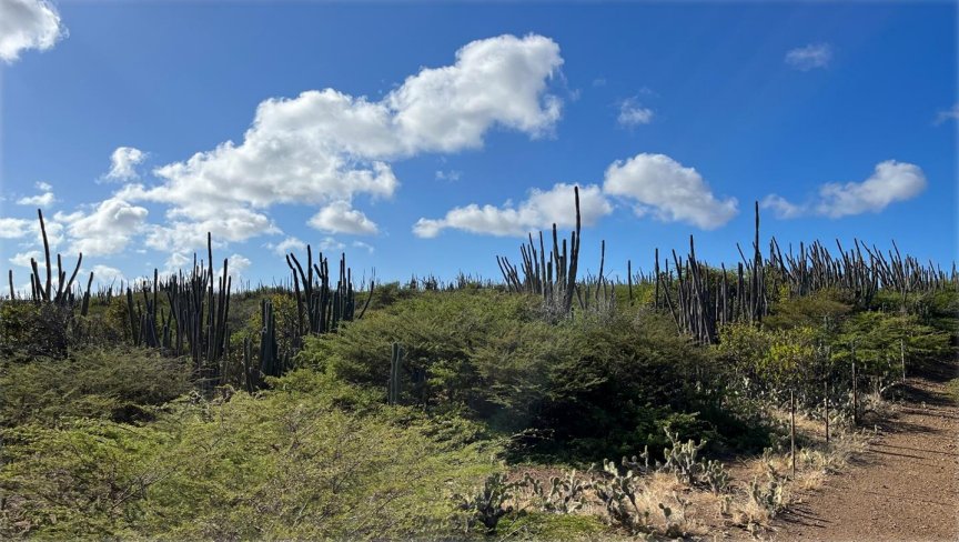 Land in Bonaire, Bosnia and Herzegovina 4 - 15385004