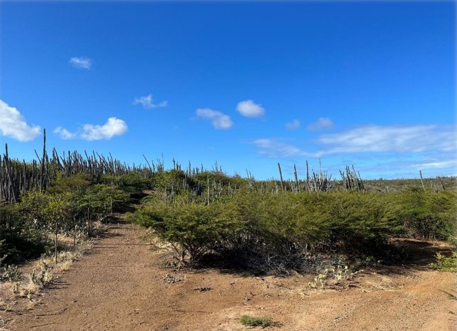 Land in Bonaire, Bosnia and Herzegovina 2 - 15385004
