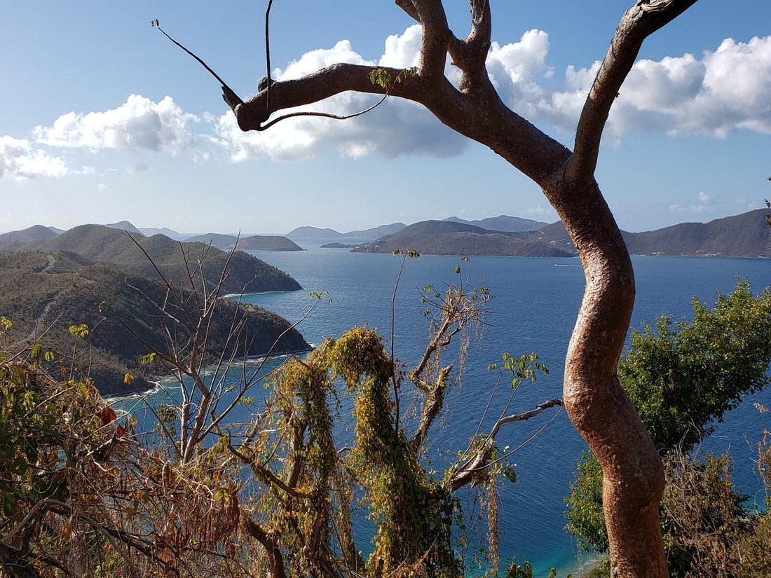 Land in East End, St. John, U.S. Virgin Islands 5 - 15169399