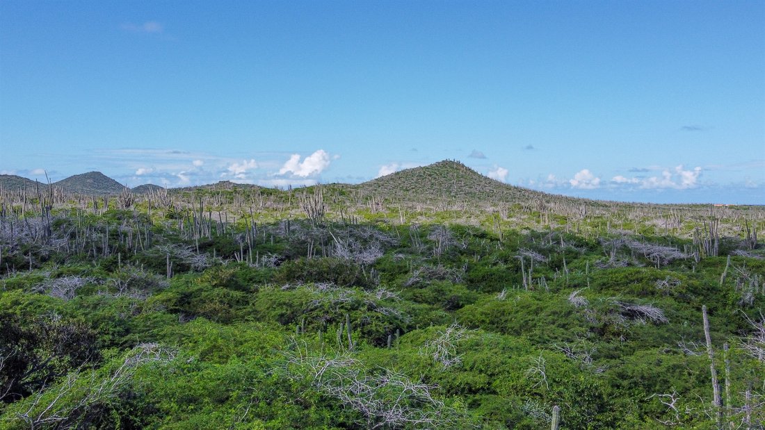 Land in Bonaire, Netherlands 5 - 13513391
