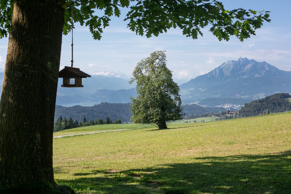 Anwesen in Lucerne, Luzern, Schweiz 4 - 15172631