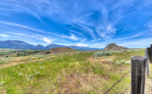 Terrain à Hamilton, Montana, États-Unis 1