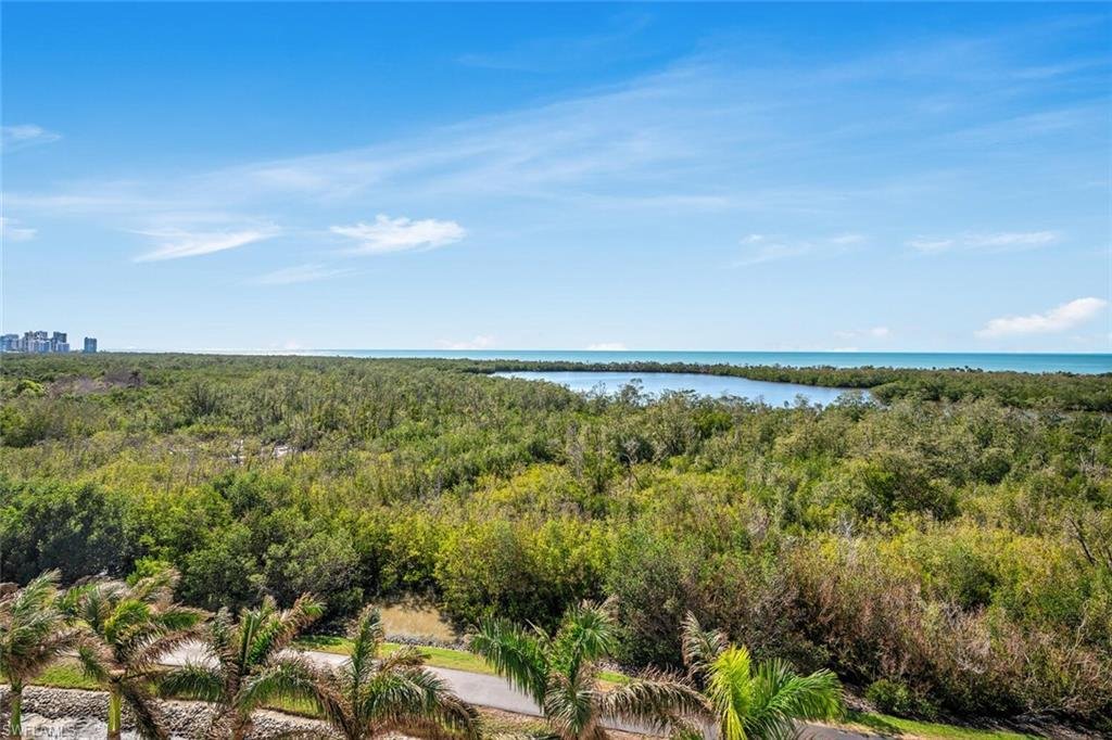 Condo in Naples, Florida, United States 2 - 15169053