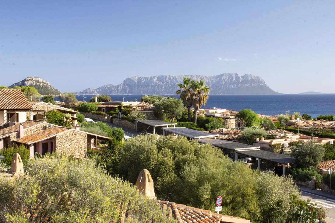 Villa in Center, Olbia, Italy 4 - 15402787