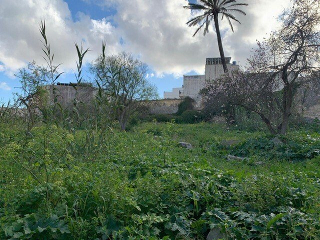 Villa in Żebbuġ, Malta 3 - 15167467