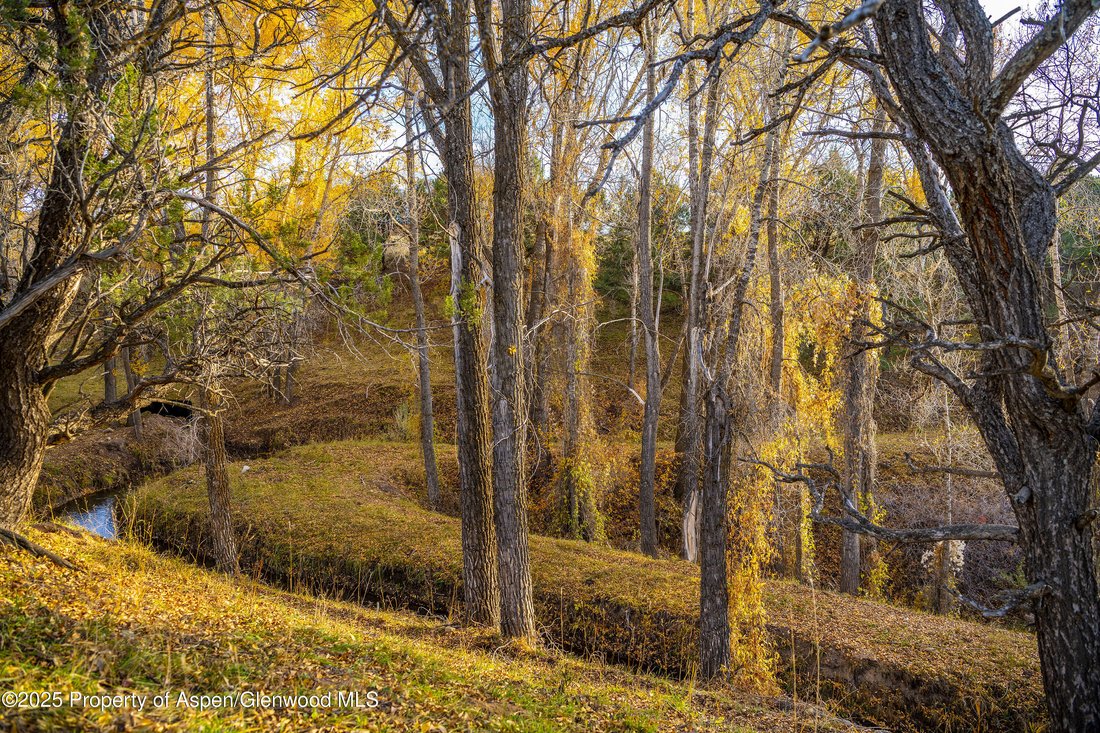 House in Carbondale, Colorado, United States 4 - 15572221