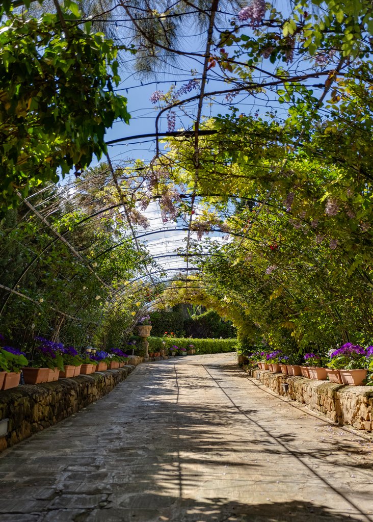 Villa in Madliena, Malta 3 - 15173573