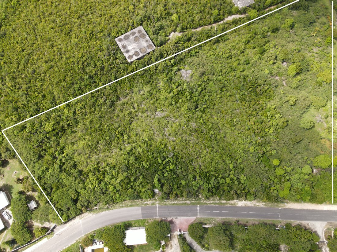Land in Les Terres Basses, Collectivity of Saint Martin, Saint Martin 5 - 15276843