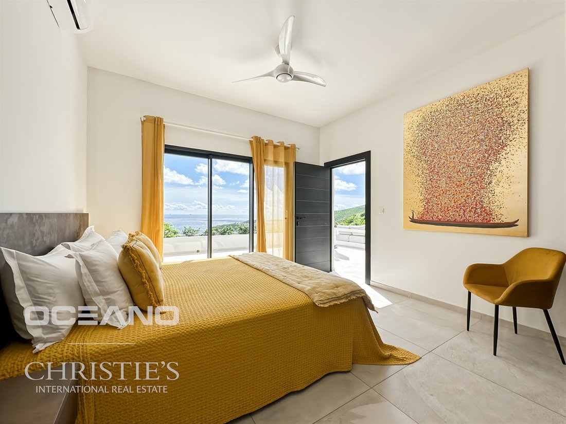 Estate in Guana Bay, Saint Martin (French part) 5 - 14973512