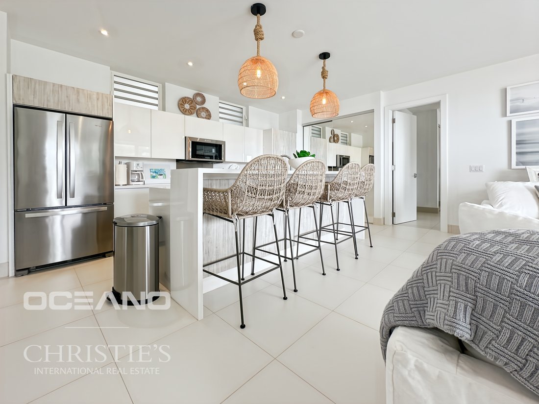 Condo in Rambaud, Collectivity of Saint Martin, Saint Martin 1 - 15175806